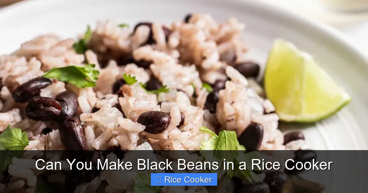 Can You Make Black Beans in a Rice Cooker