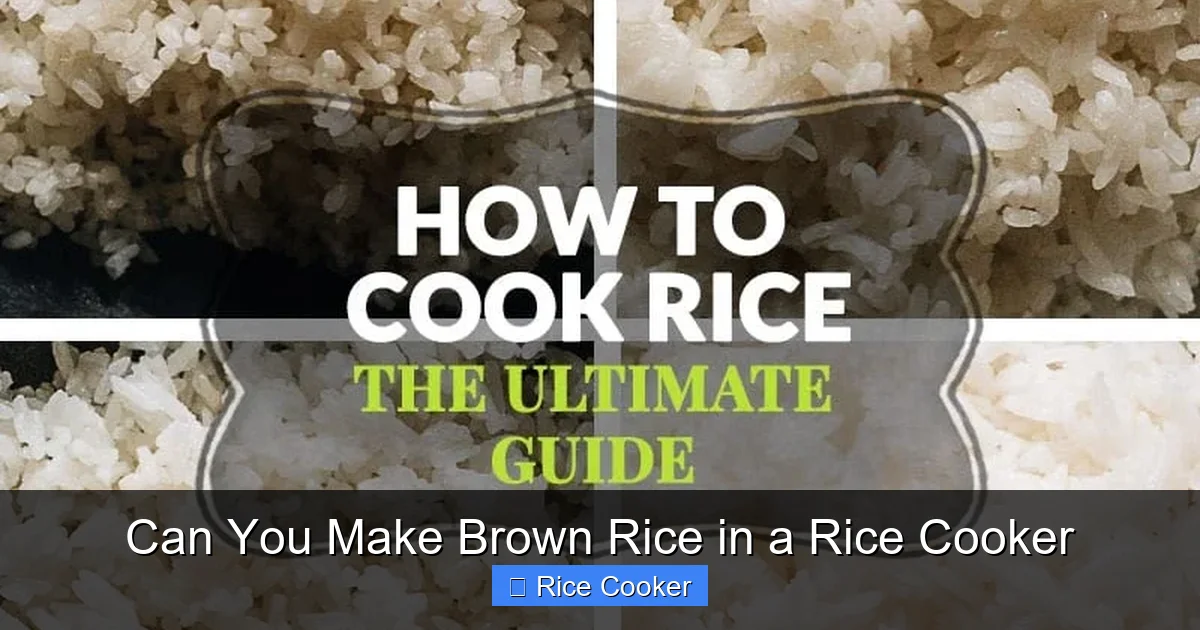 Can You Make Brown Rice in a Rice Cooker