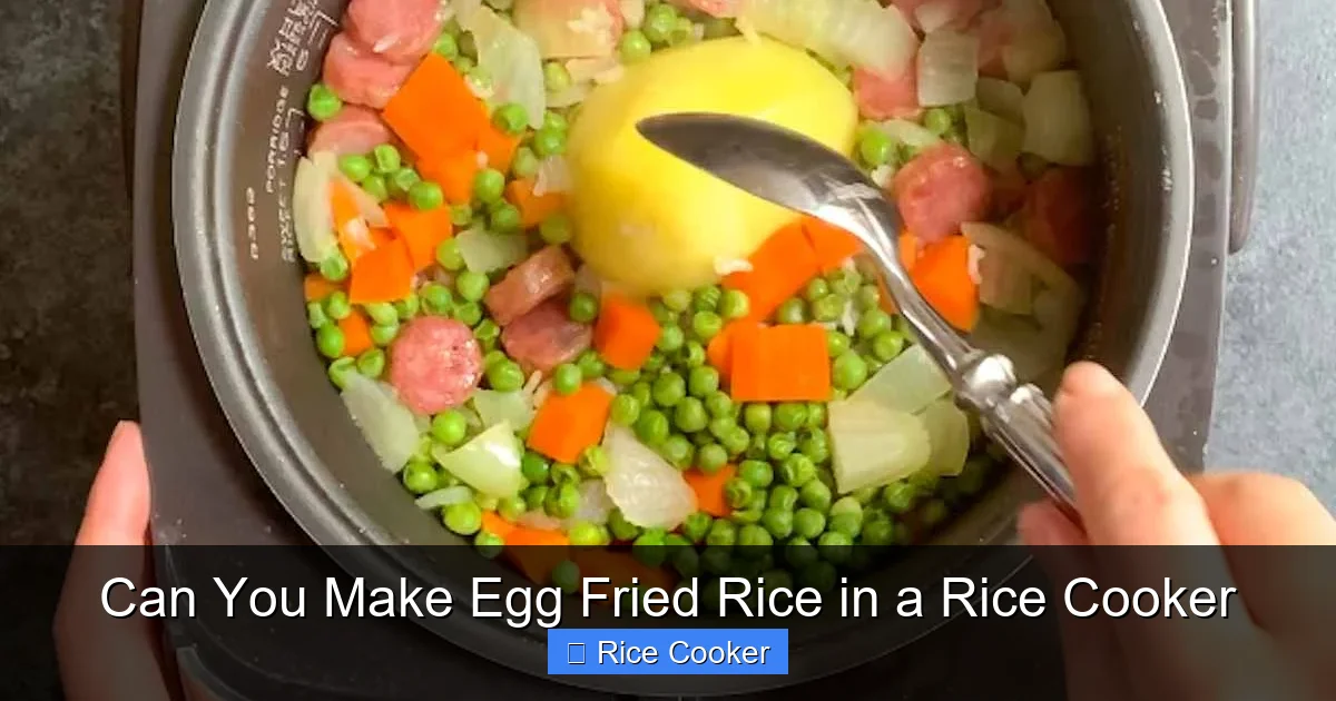 Can You Make Egg Fried Rice in a Rice Cooker