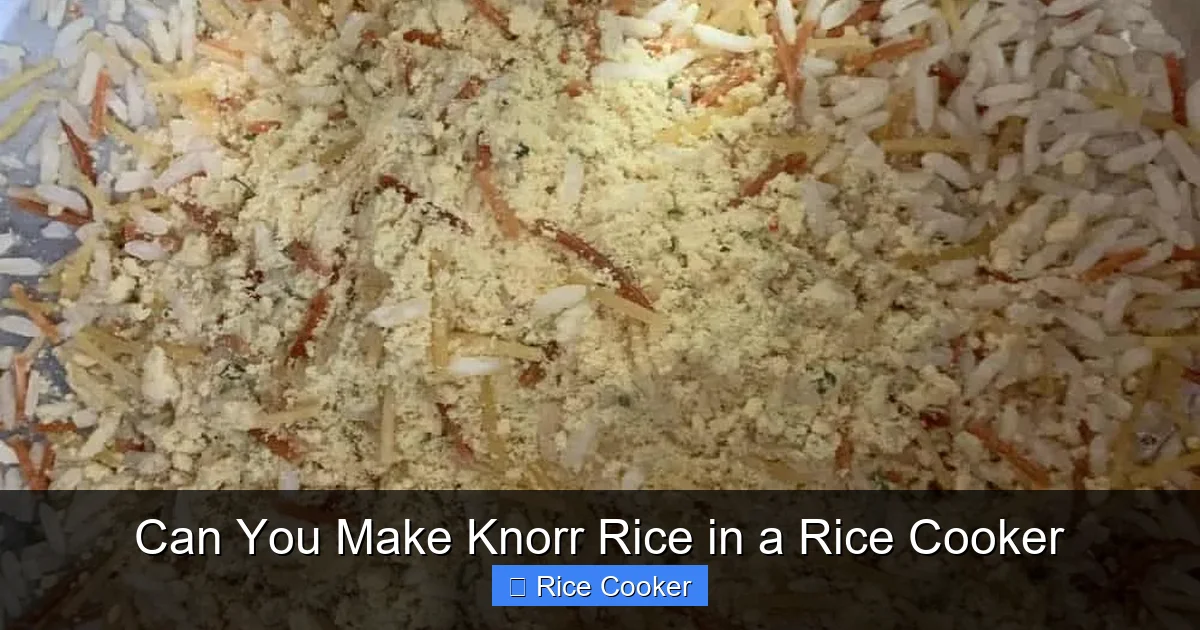 Can You Make Knorr Rice in a Rice Cooker