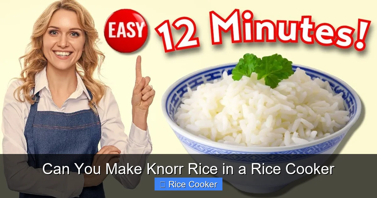 Can You Make Knorr Rice in a Rice Cooker