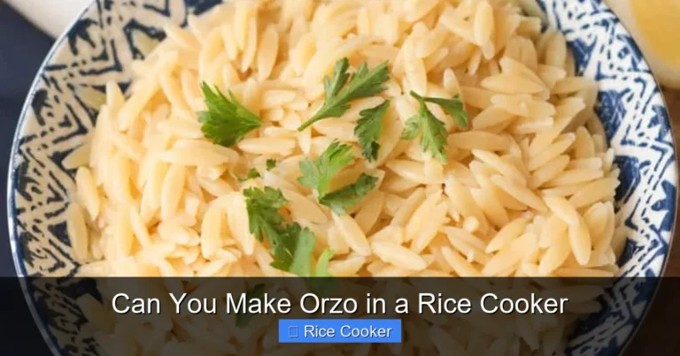 Can You Make Orzo in a Rice Cooker