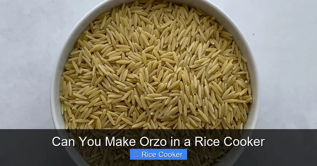 Can You Make Orzo in a Rice Cooker