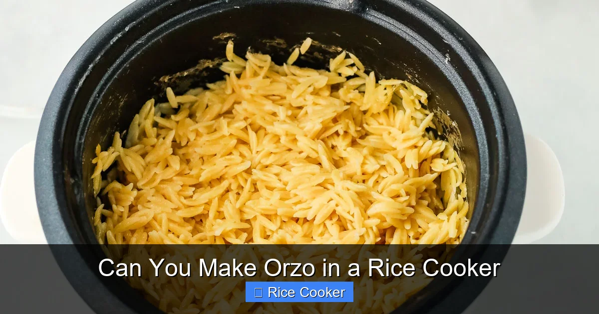 Can You Make Orzo in a Rice Cooker