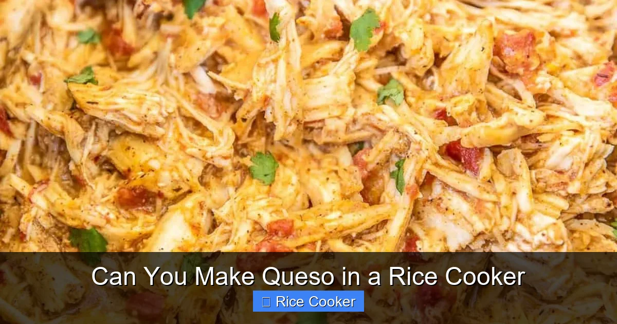 Can You Make Queso in a Rice Cooker