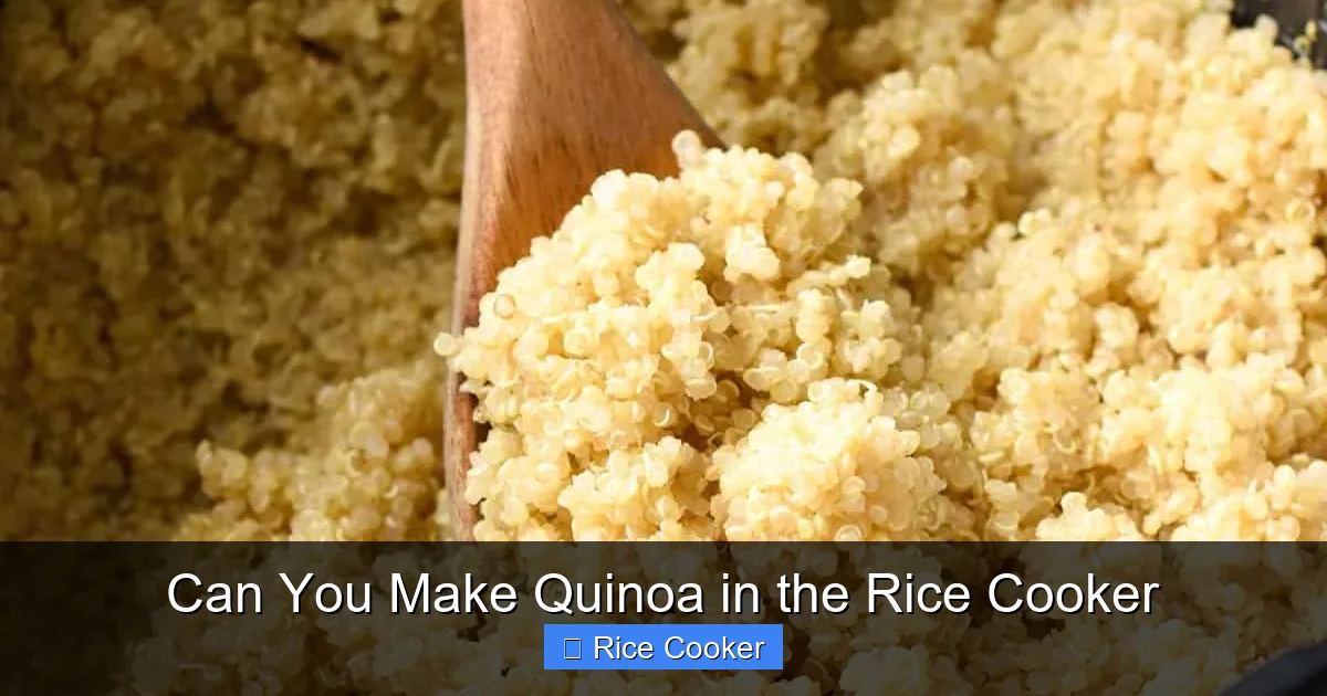 Can You Make Quinoa in the Rice Cooker
