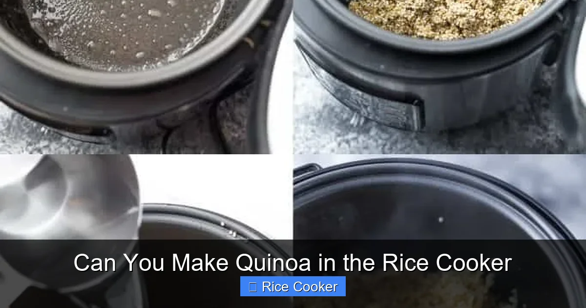 Can You Make Quinoa in the Rice Cooker