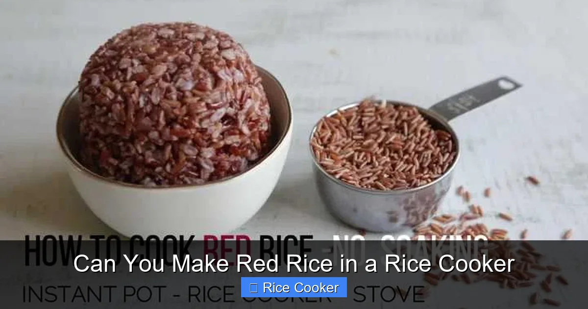 Can You Make Red Rice in a Rice Cooker
