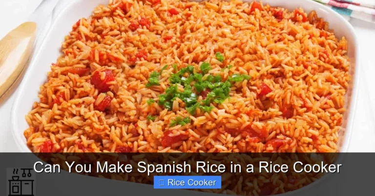 Can You Make Spanish Rice in a Rice Cooker