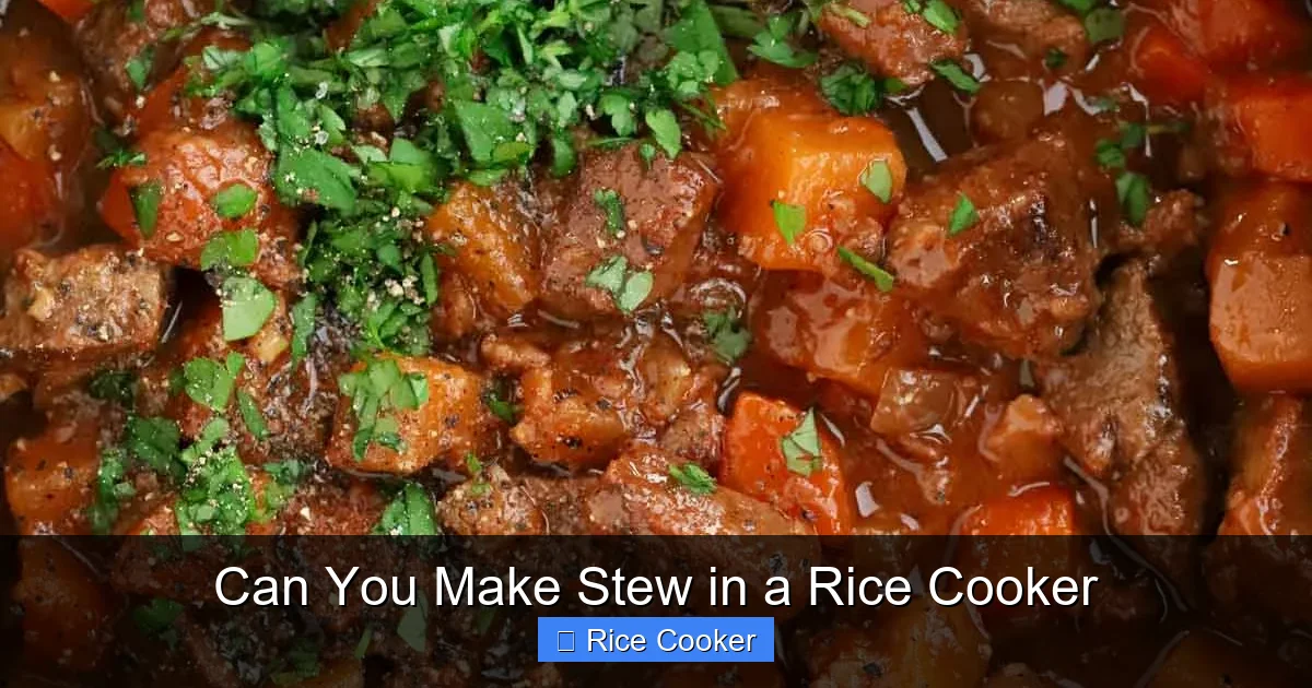 Can You Make Stew in a Rice Cooker