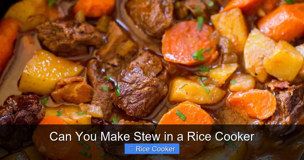 Can You Make Stew in a Rice Cooker