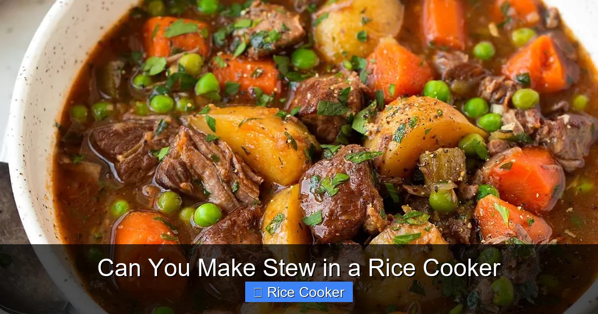 Can You Make Stew in a Rice Cooker