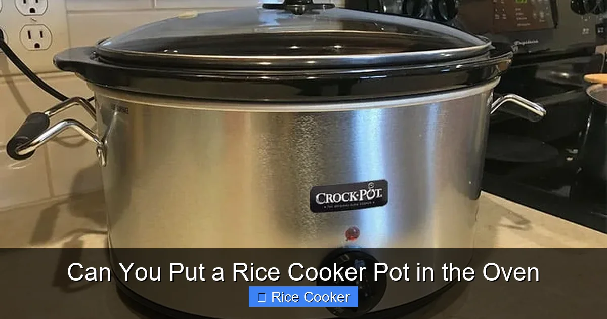 Can You Put a Rice Cooker Pot in the Oven