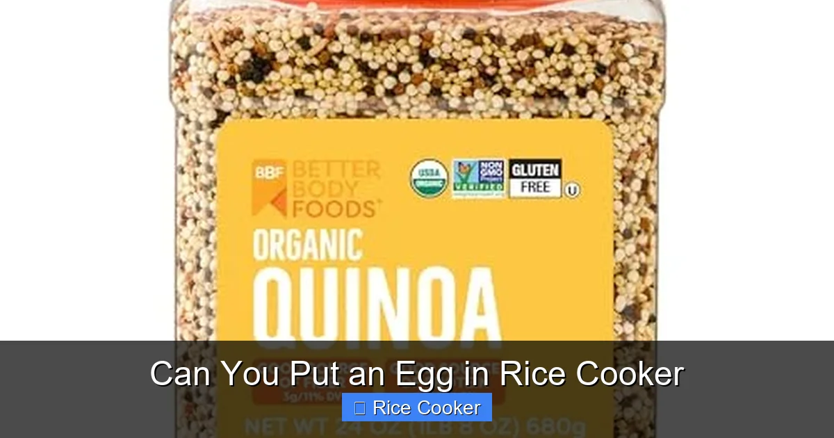 Can You Put an Egg in Rice Cooker