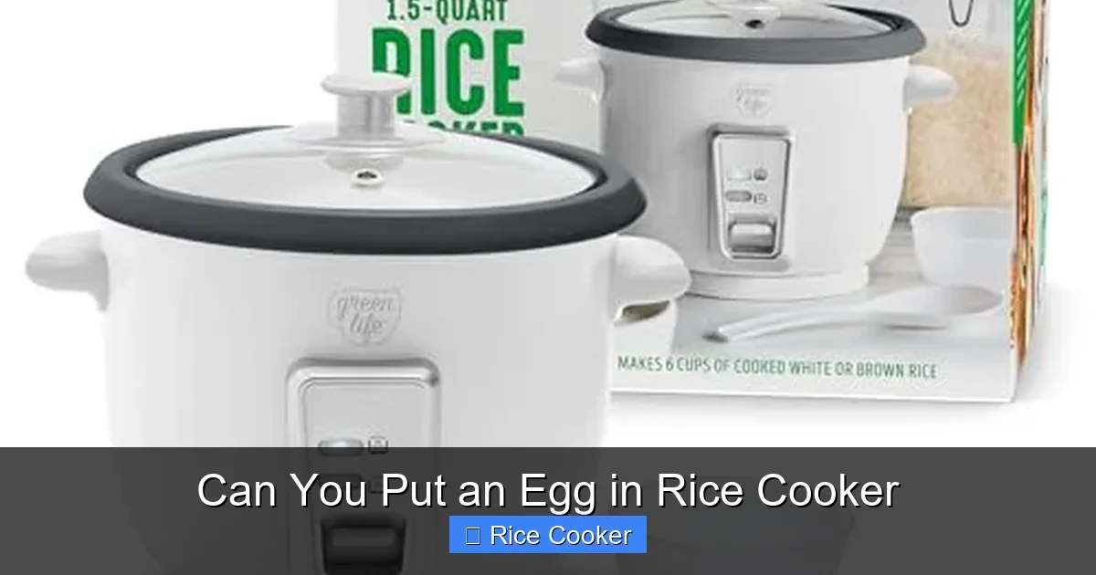 Can You Put an Egg in Rice Cooker