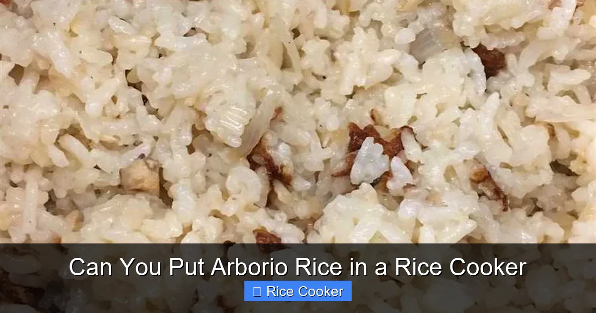 Can You Put Arborio Rice in a Rice Cooker