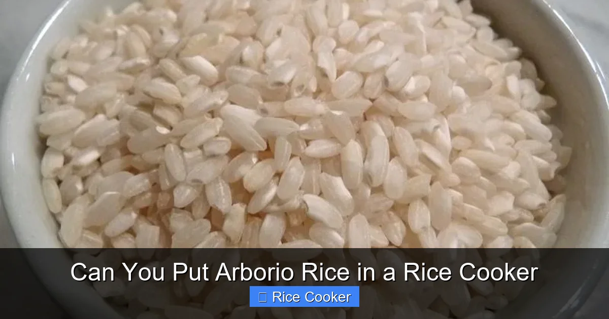 Can You Put Arborio Rice in a Rice Cooker