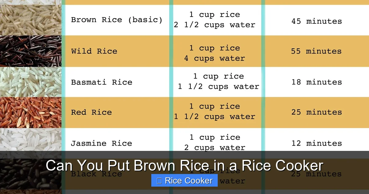 Can You Put Brown Rice in a Rice Cooker