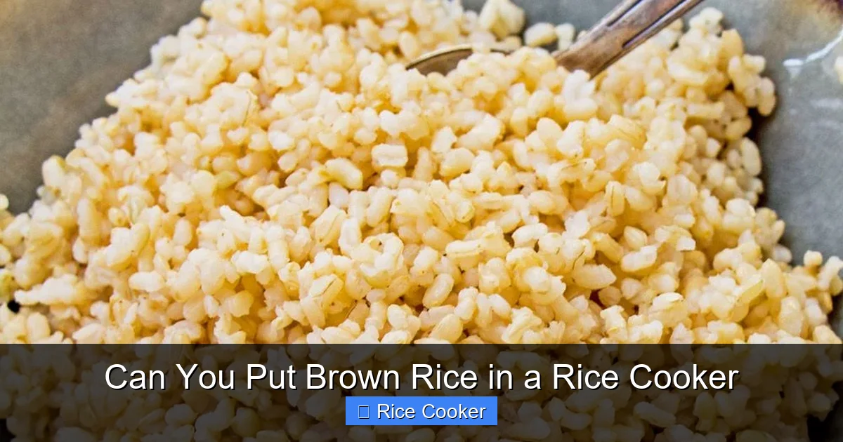Can You Put Brown Rice in a Rice Cooker