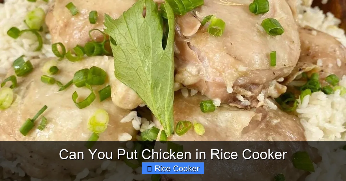 Can You Put Chicken in Rice Cooker