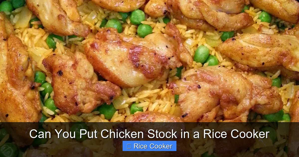 Can You Put Chicken Stock in a Rice Cooker