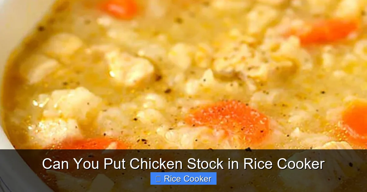 Can You Put Chicken Stock in Rice Cooker