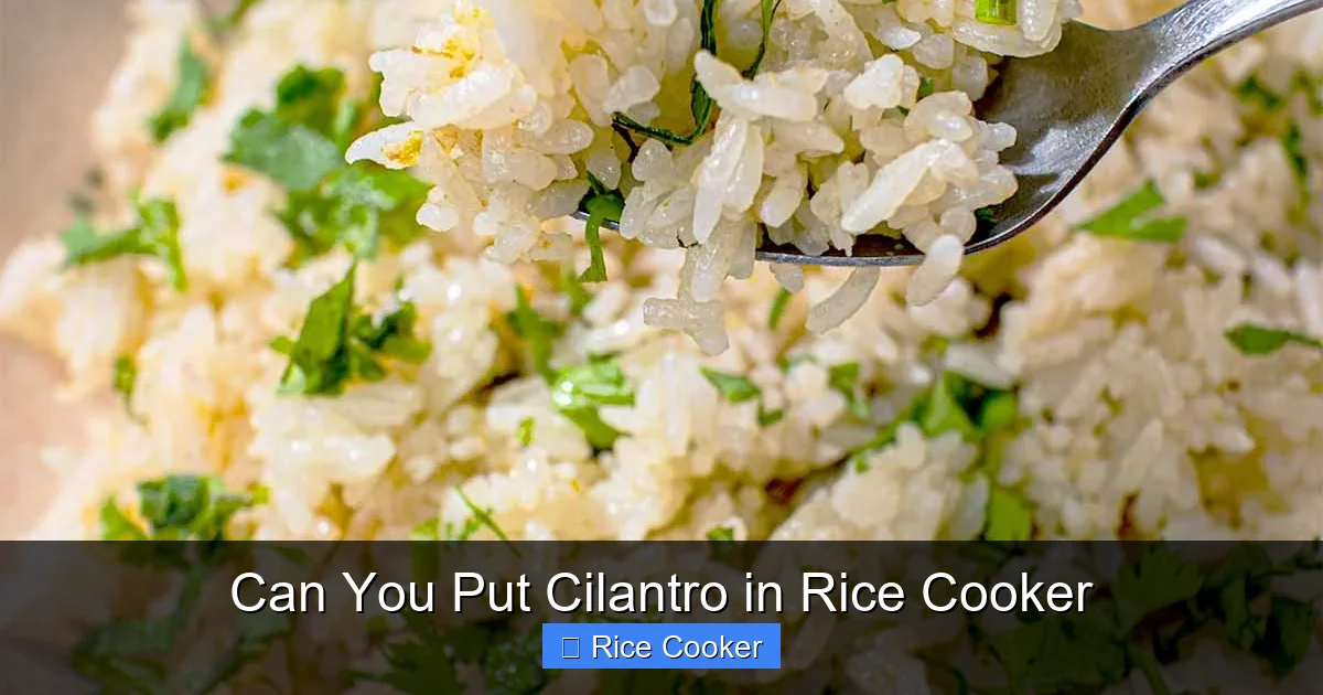 Can You Put Cilantro in Rice Cooker