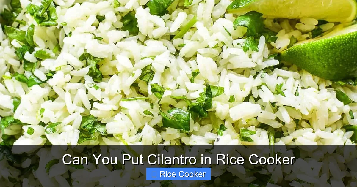 Can You Put Cilantro in Rice Cooker