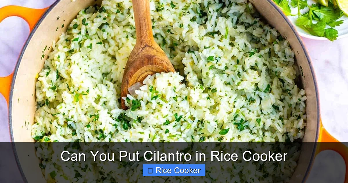 Can You Put Cilantro in Rice Cooker