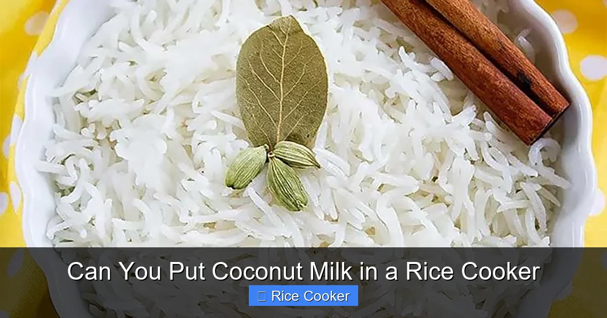 Can You Put Coconut Milk in a Rice Cooker