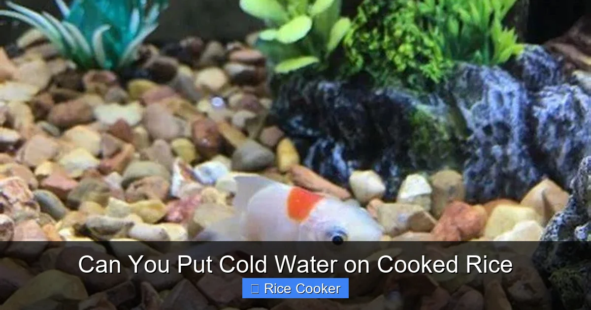 Can You Put Cold Water on Cooked Rice