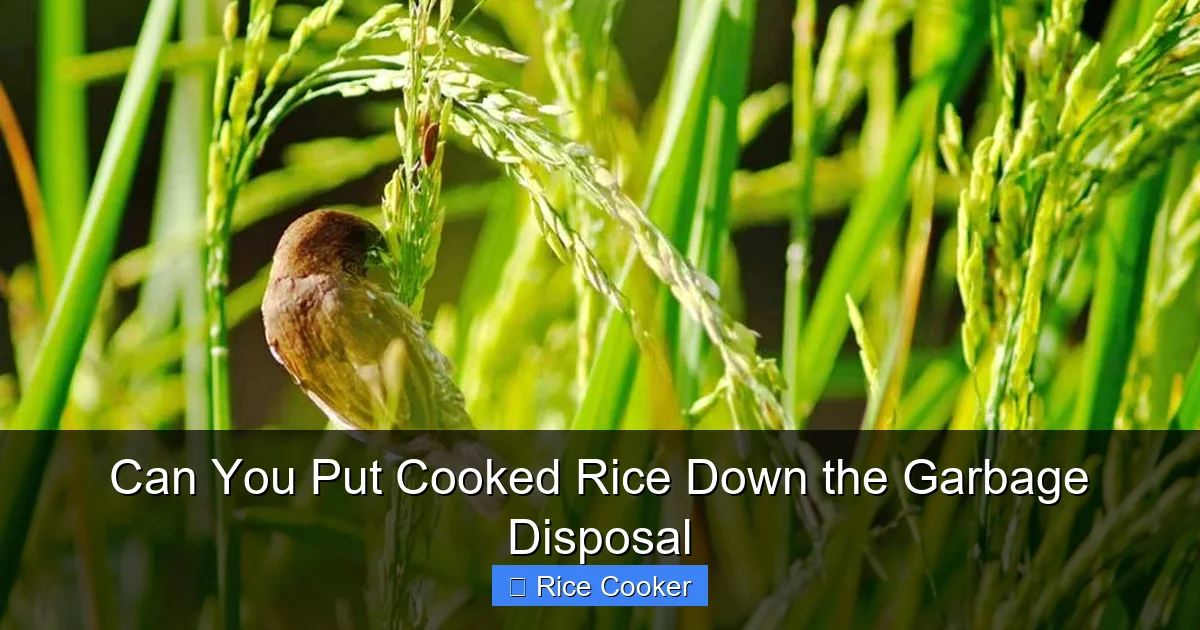 Can You Put Cooked Rice Down the Garbage Disposal