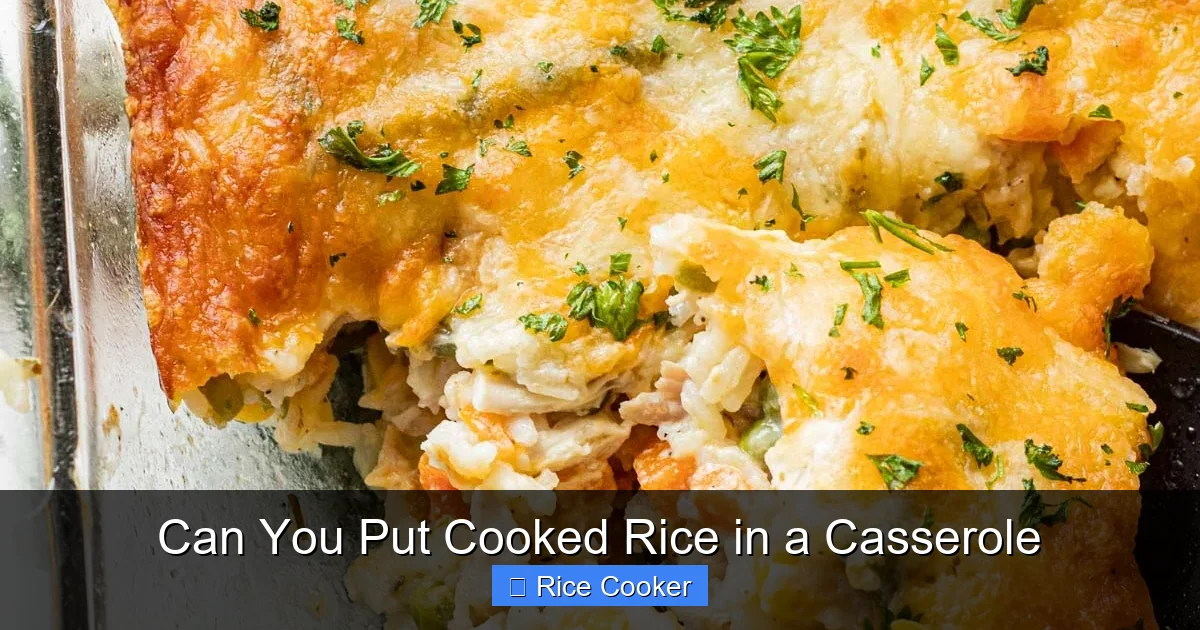 Can You Put Cooked Rice in a Casserole