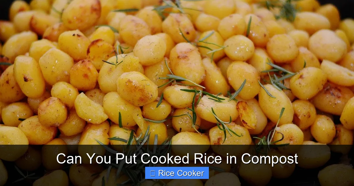 Can You Put Cooked Rice in Compost