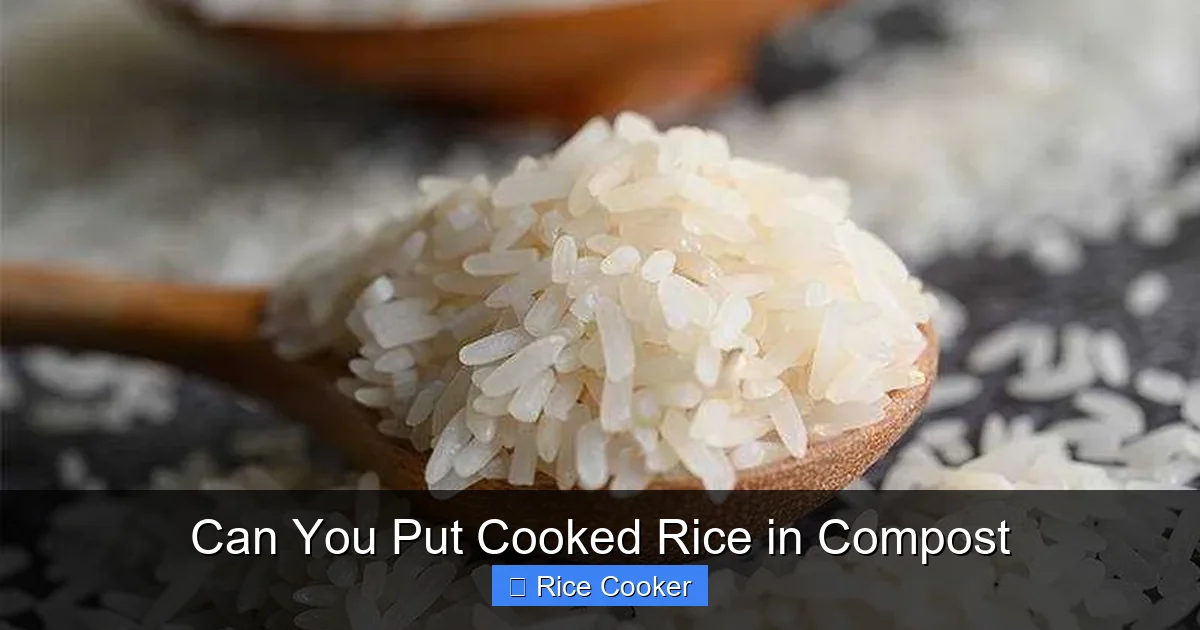 Can You Put Cooked Rice in Compost