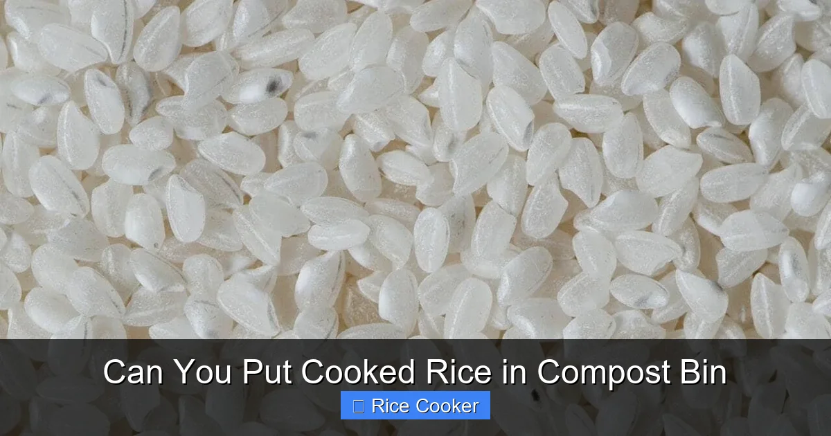 Can You Put Cooked Rice in Compost Bin