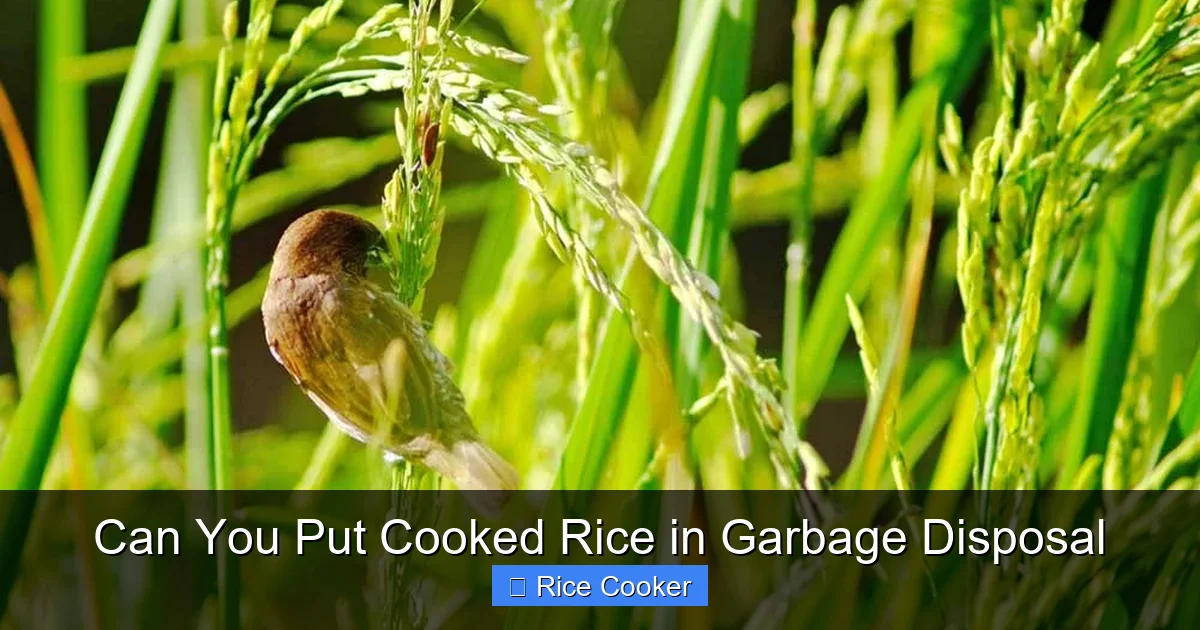 Can You Put Cooked Rice in Garbage Disposal