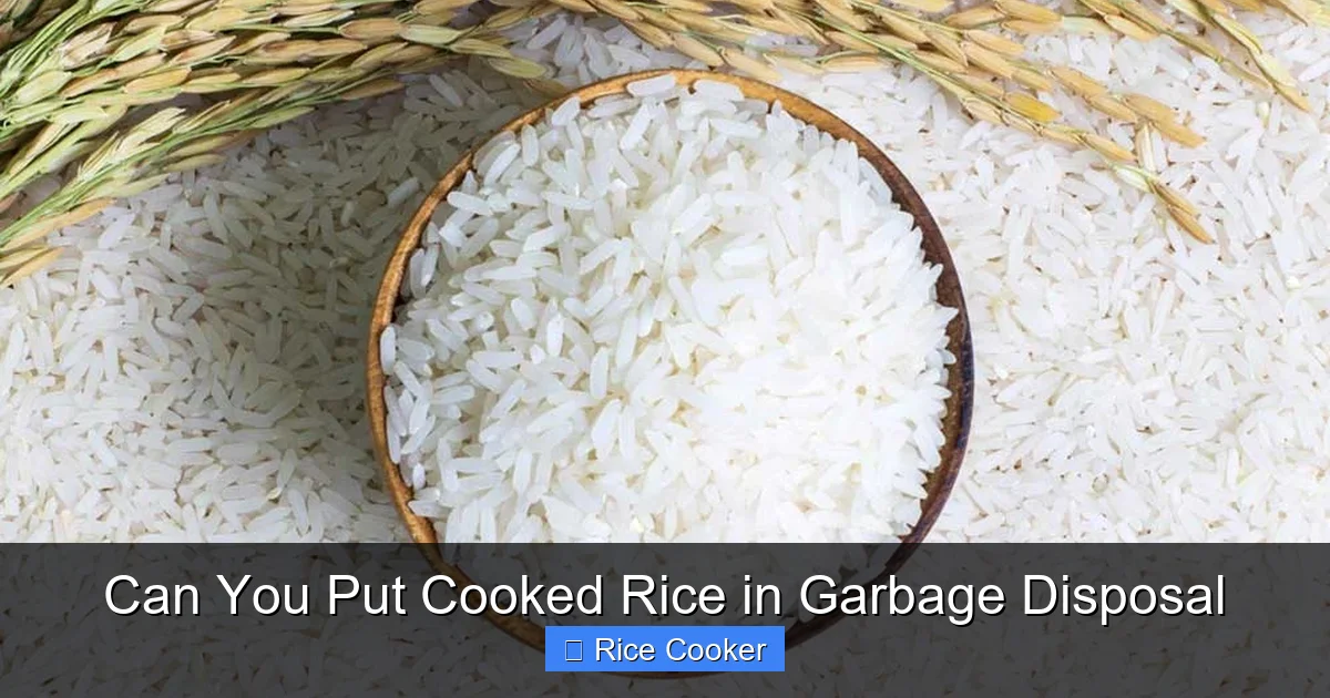 Can You Put Cooked Rice in Garbage Disposal