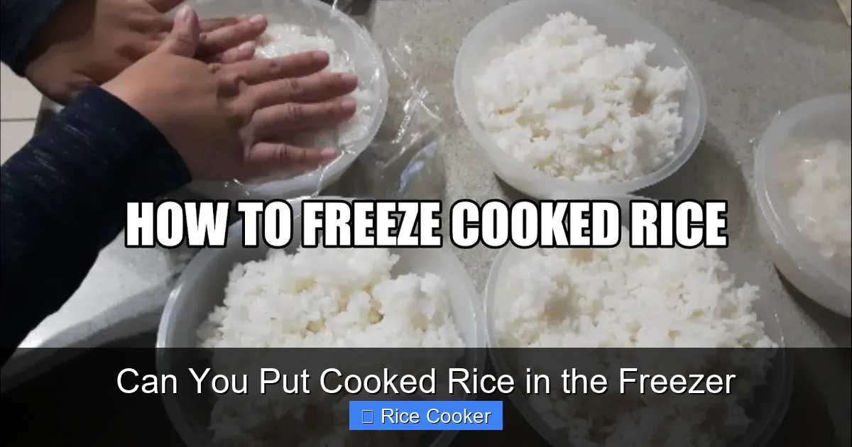 Can You Put Cooked Rice in the Freezer