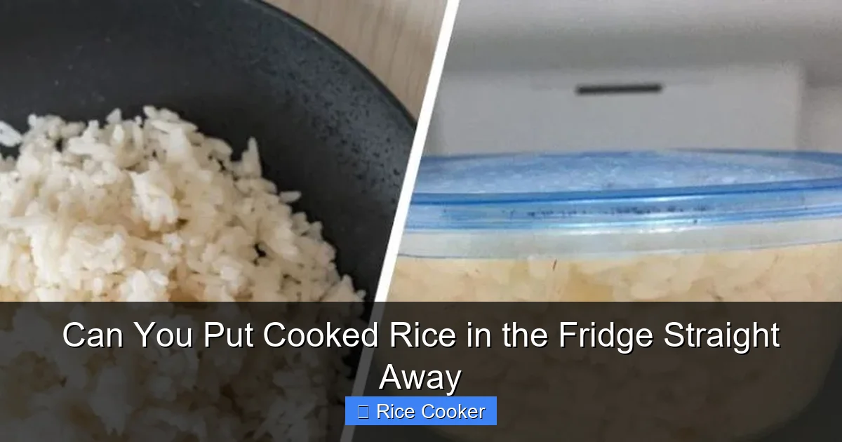 Can You Put Cooked Rice in the Fridge Straight Away