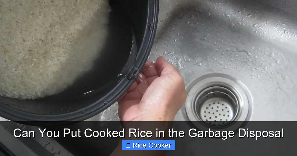 Can You Put Cooked Rice in the Garbage Disposal