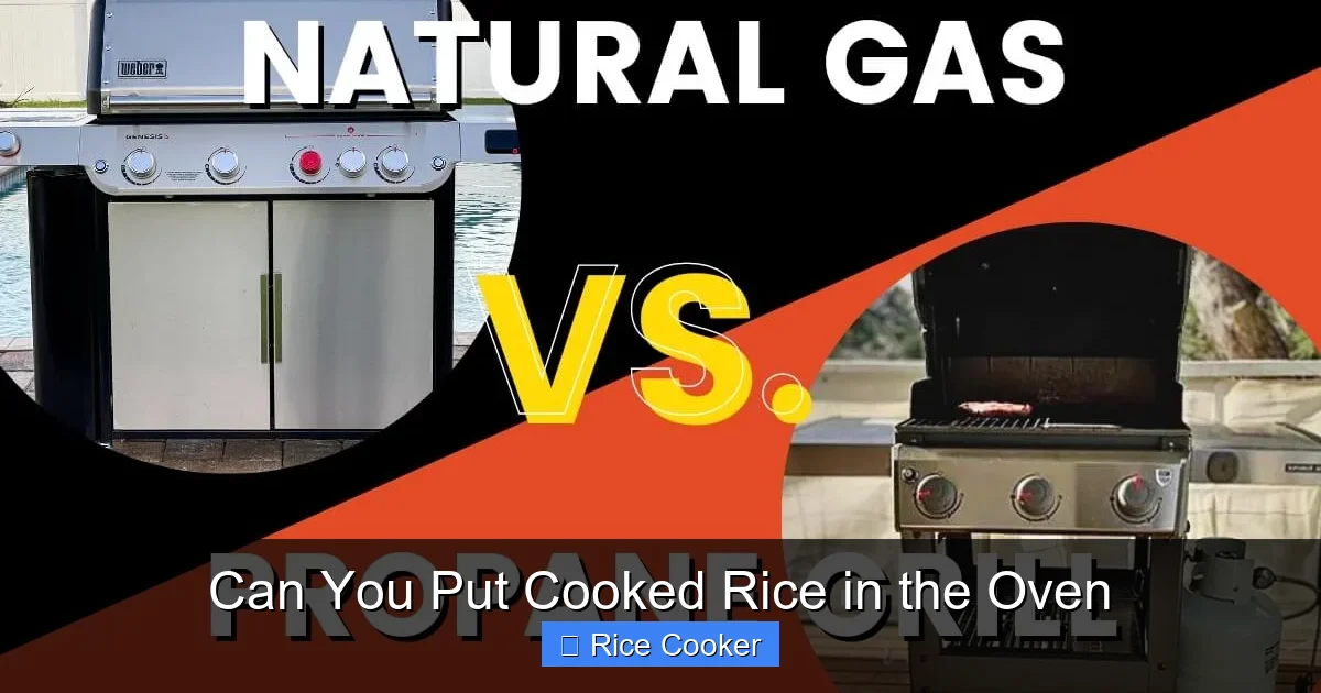 Can You Put Cooked Rice in the Oven