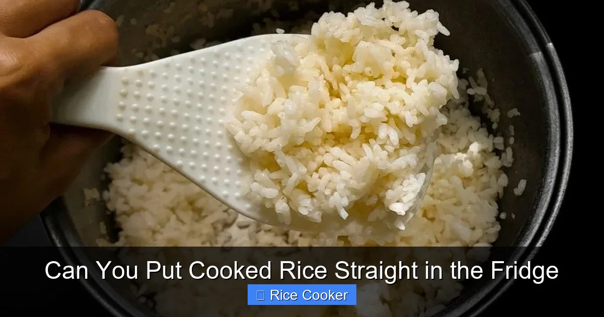 Can You Put Cooked Rice Straight in the Fridge