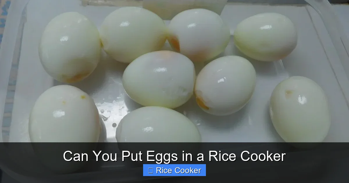 Can You Put Eggs in a Rice Cooker