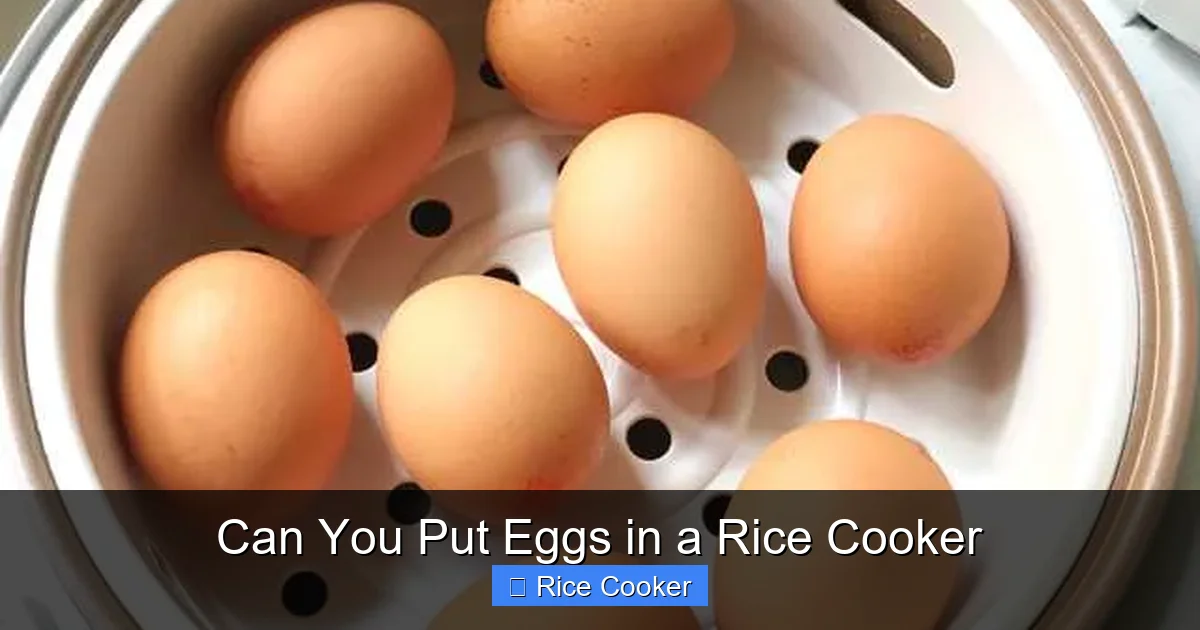 Can You Put Eggs in a Rice Cooker