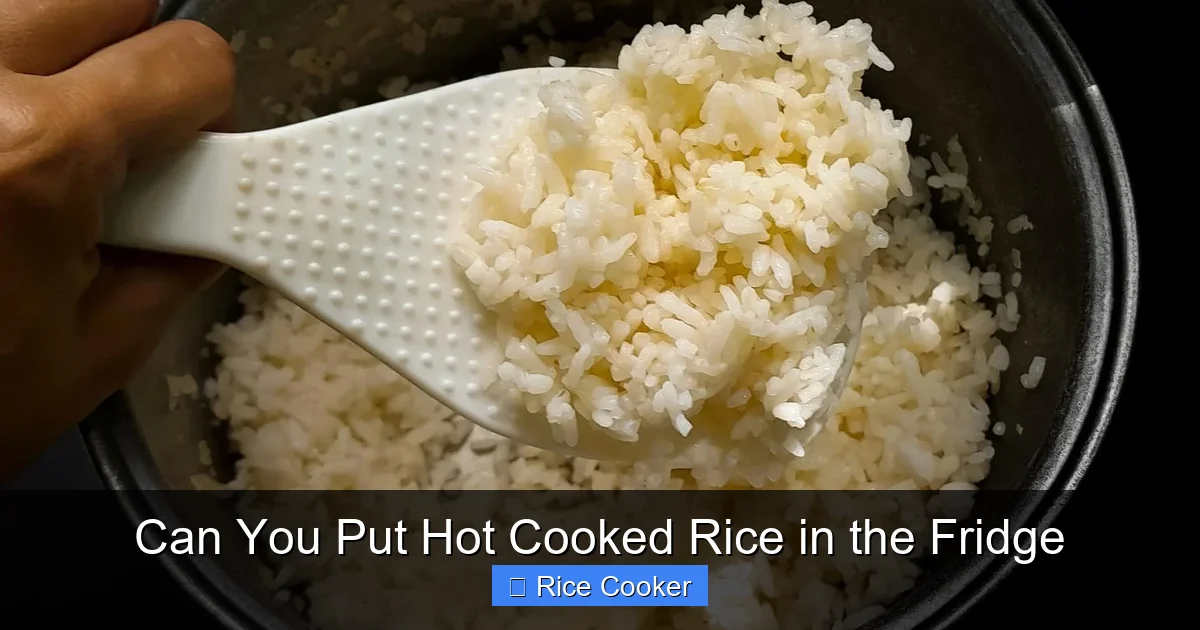 Can You Put Hot Cooked Rice in the Fridge