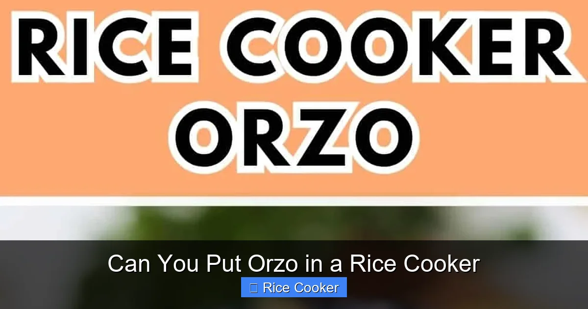 Can You Put Orzo in a Rice Cooker