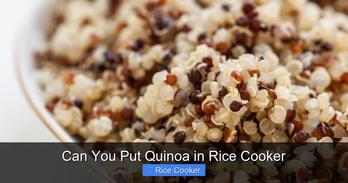 Can You Put Quinoa in Rice Cooker