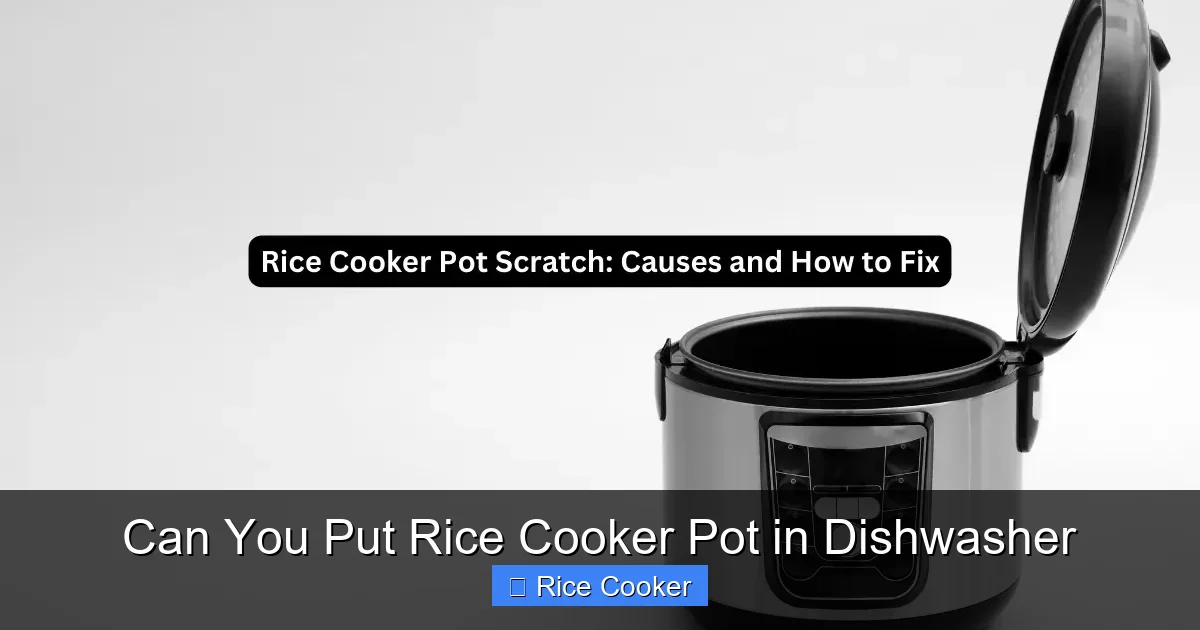Can You Put Rice Cooker Pot in Dishwasher