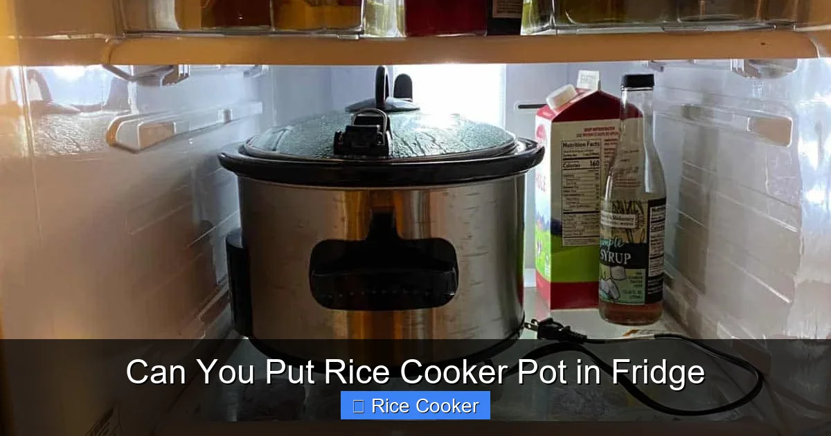 Can You Put Rice Cooker Pot in Fridge